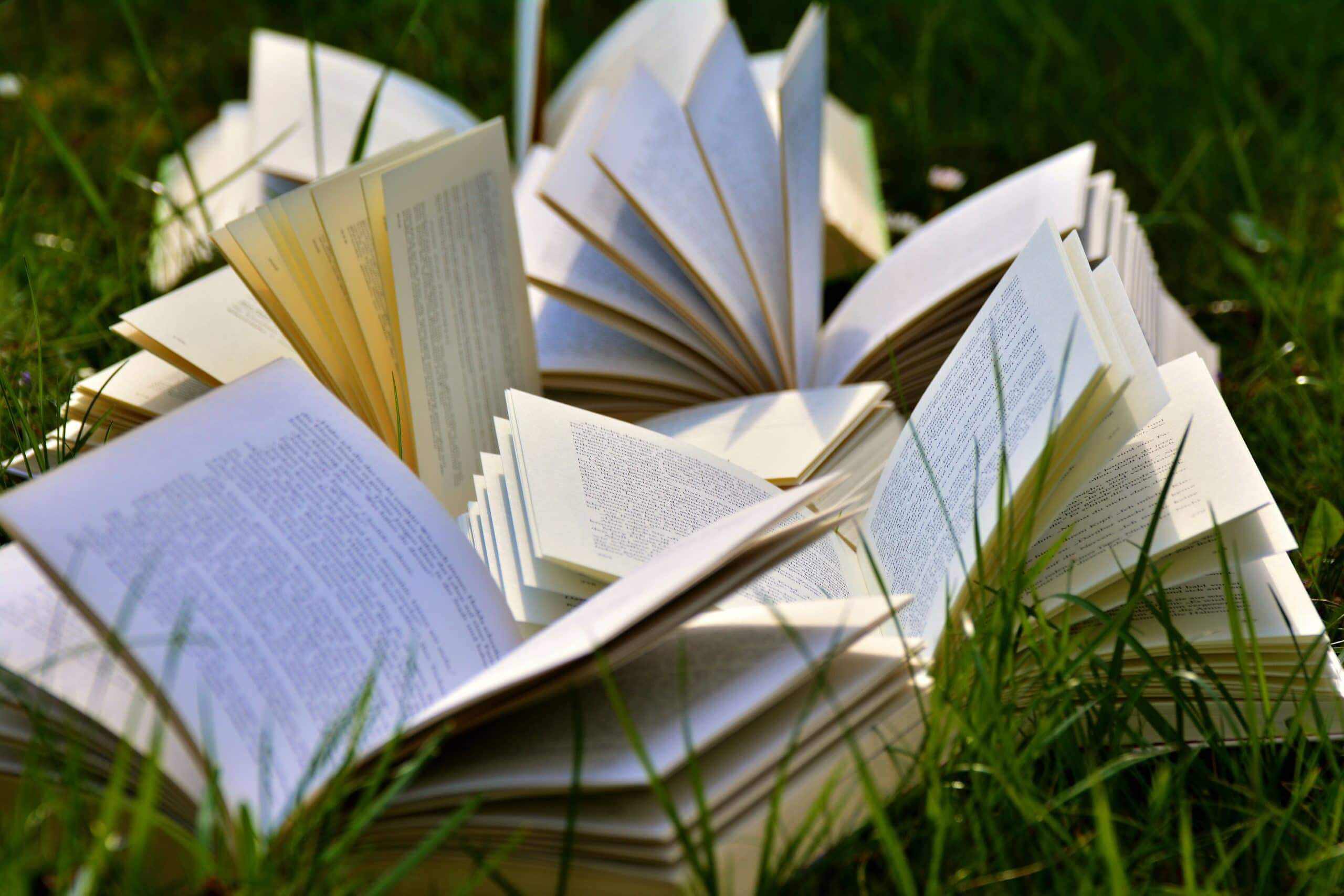 Pile of books on the grass