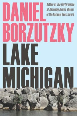 Lake Michigan cover art