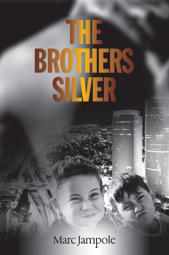 The Brothers Silver book cover