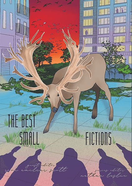 Best Small Fictions 2021 Cover Art