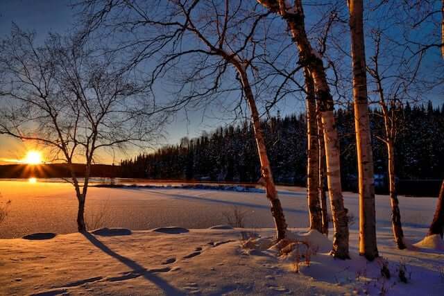 Winter sunset on a lake surrounded by trees