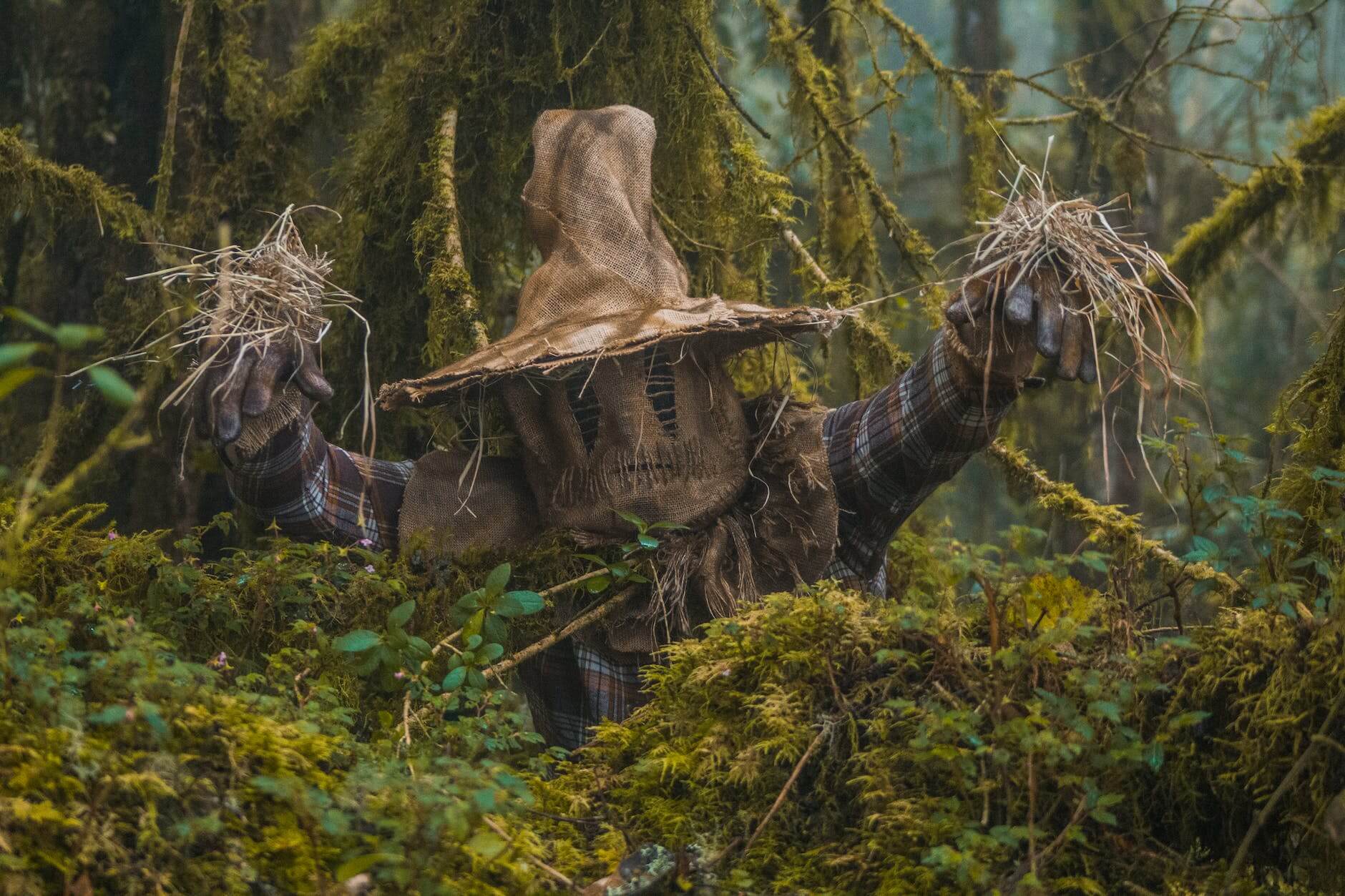 a scarecrow behind bushes