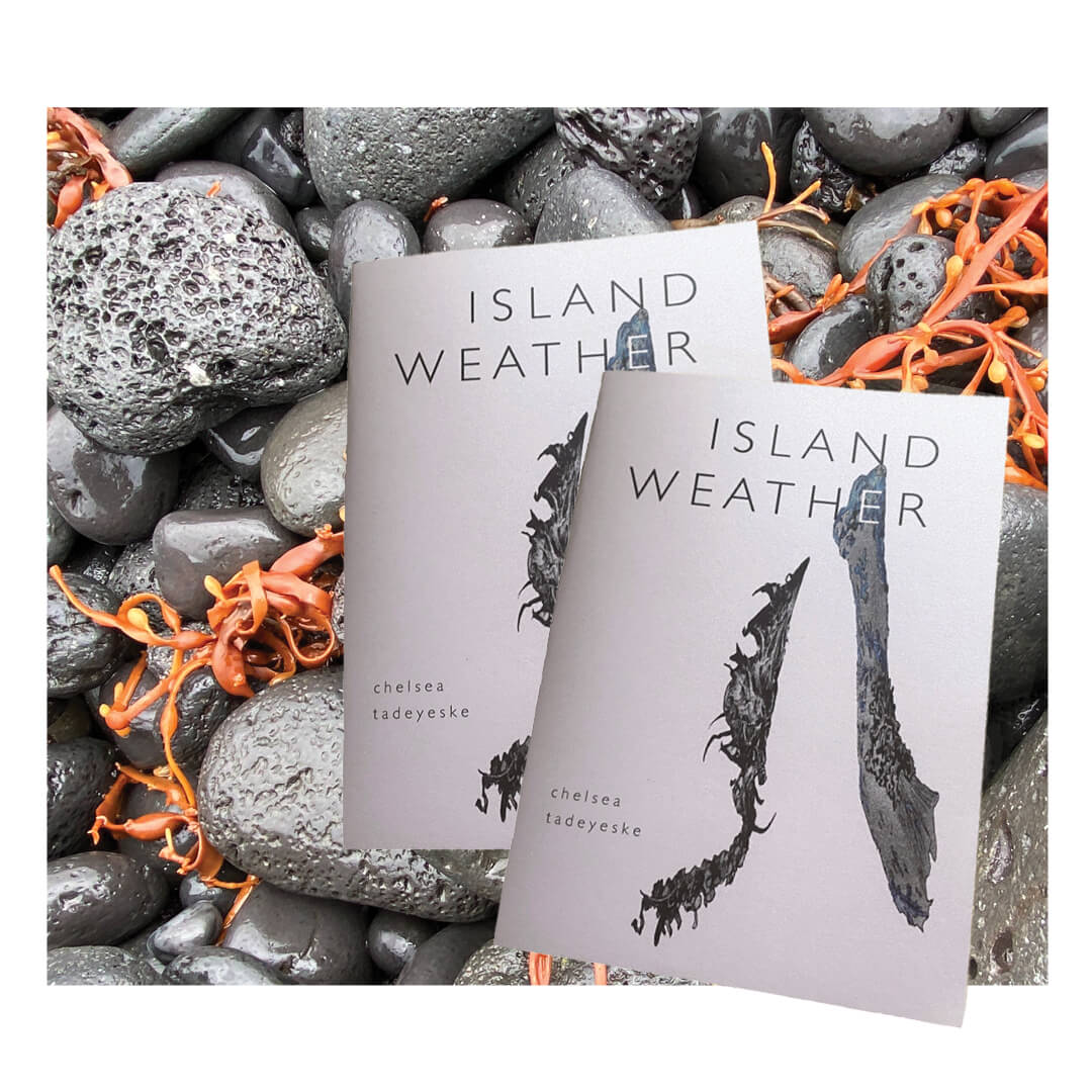 Two copies of Island Weather in front of rocks.