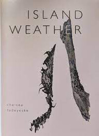 Observational Anti-aphorisms: Chelsea Tadeyeske’s Island Weather