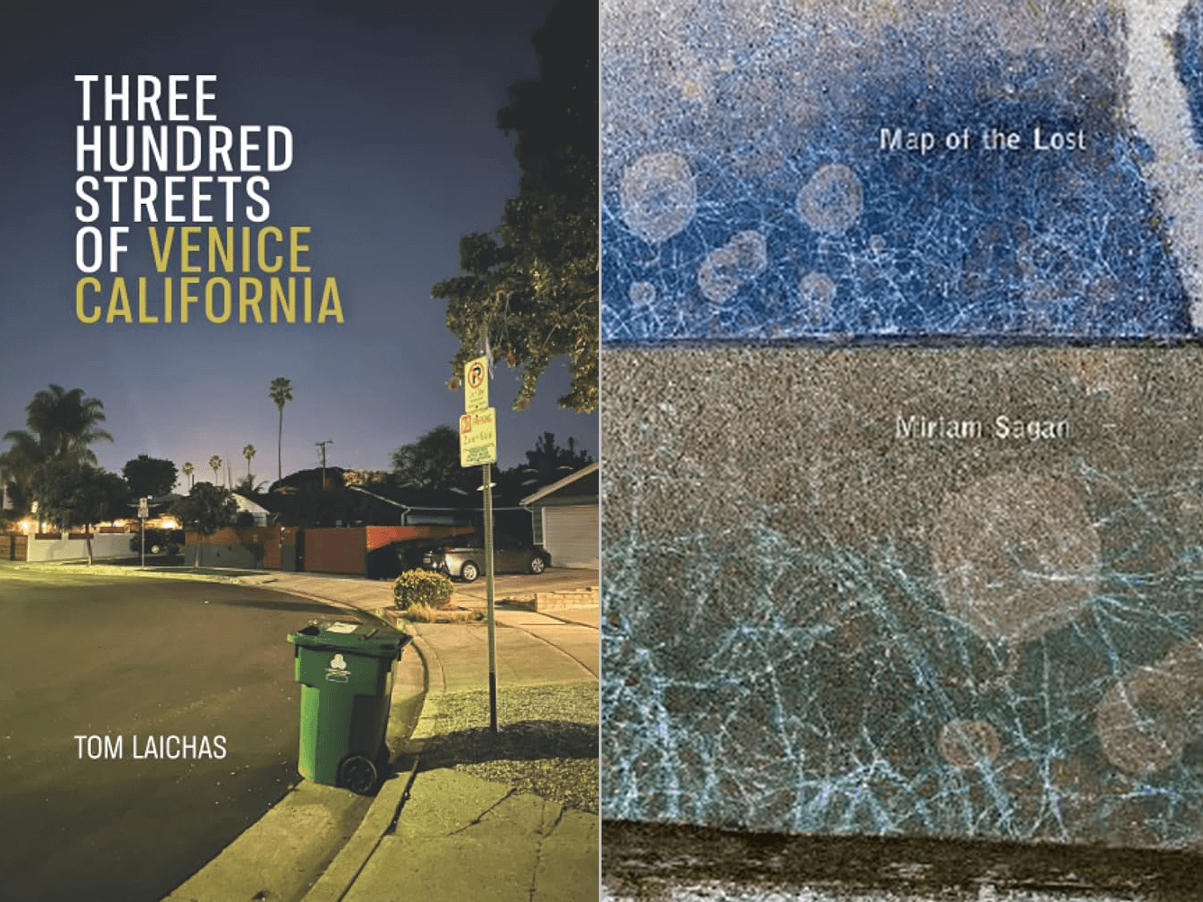 Cover of Three Hundreds Streets of Venice California and Maps of the Lost