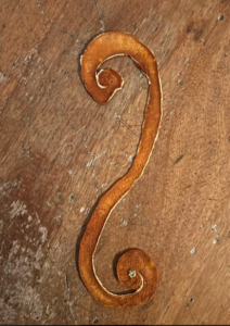 mandarin peel in the shape of an S
